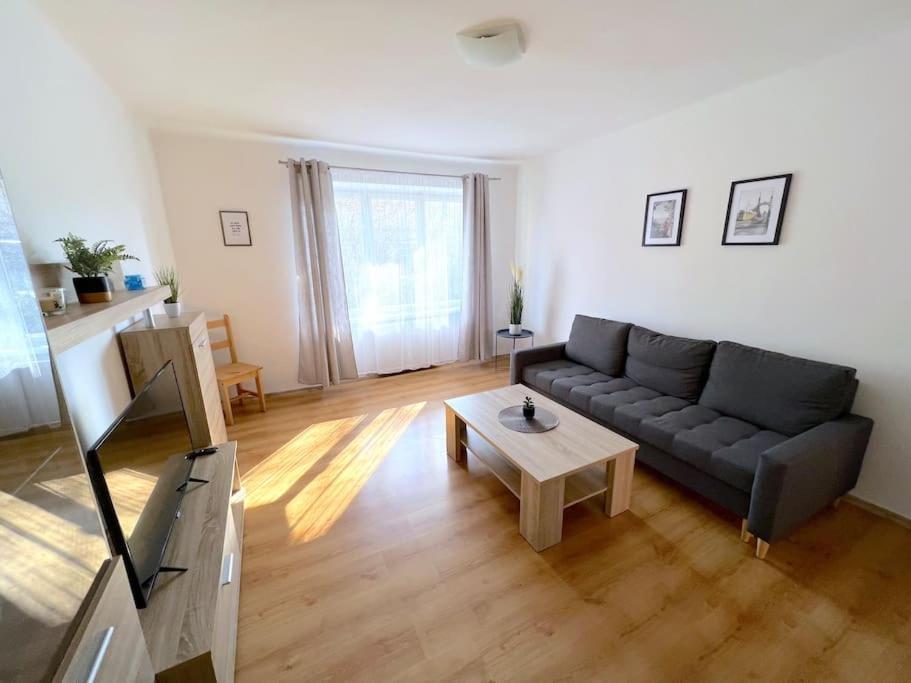 Apartman U Labe 데친 외부 사진