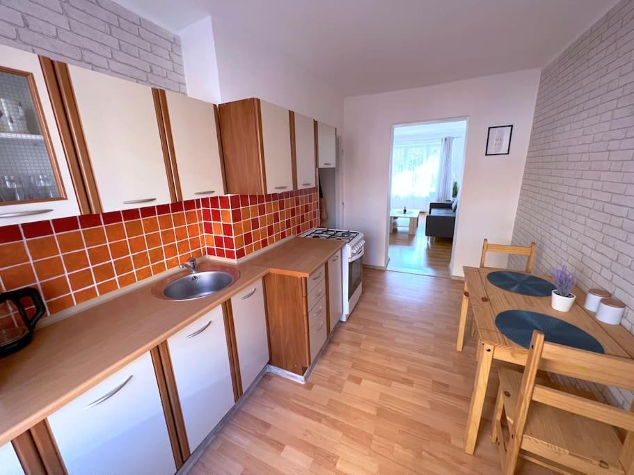 Apartman U Labe 데친 외부 사진