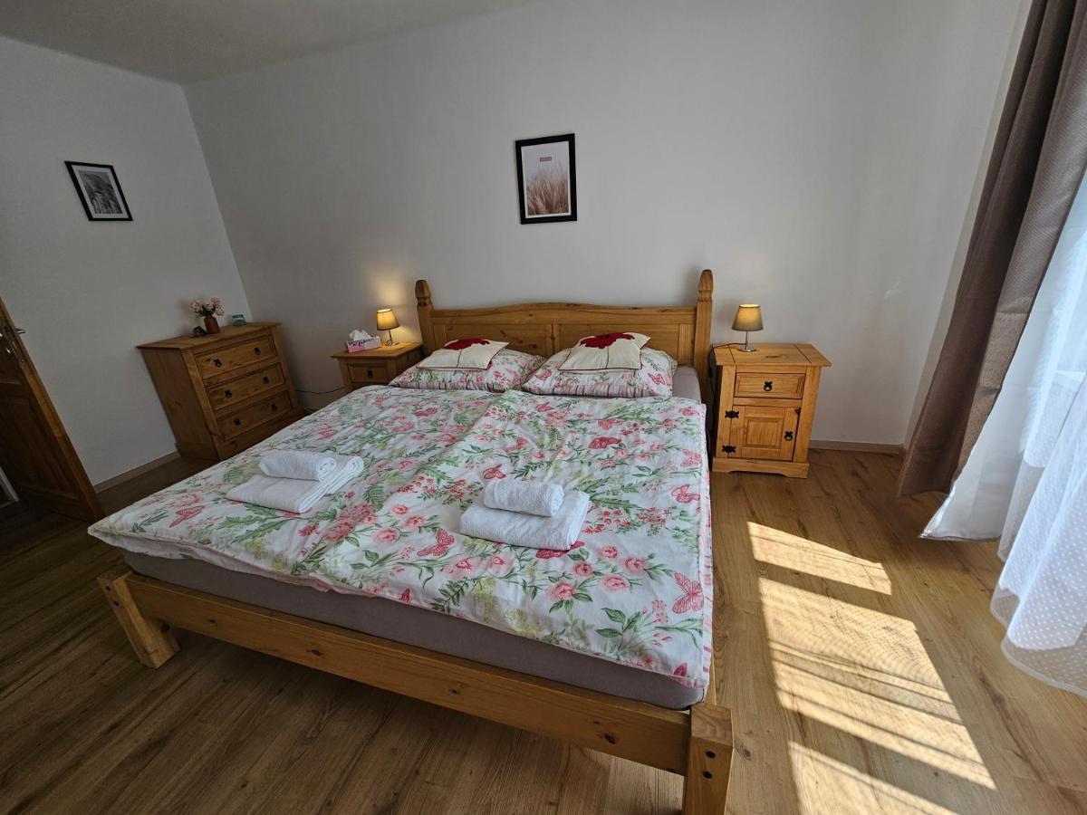 Apartman U Labe 데친 외부 사진
